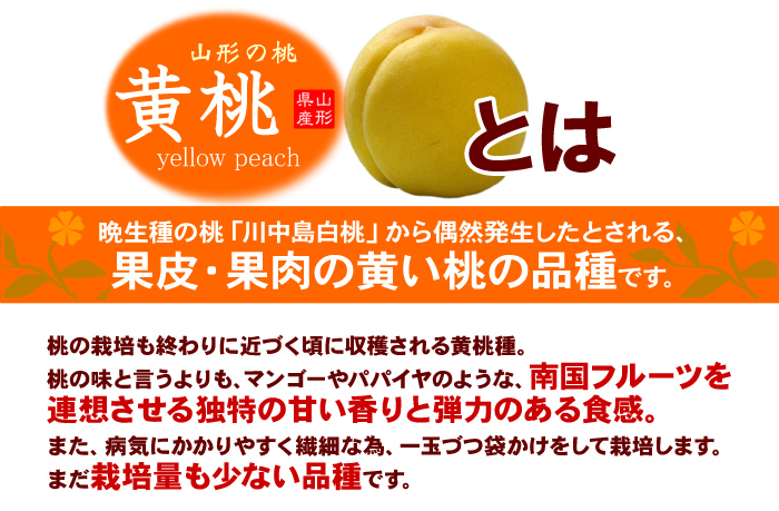 黄桃は黄色い果肉で希少な品種